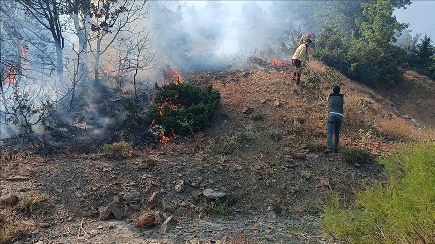 Bingöl'deki orman yangını söndürüldü 2